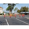 Looper Cones